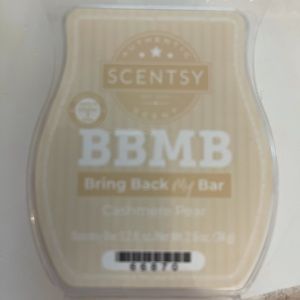 Scentsy Bring Back my bar